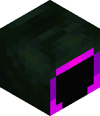 Eroplayer2003's head