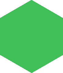 CaptainIguana's head