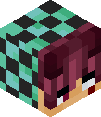 Gamerboy277247's head