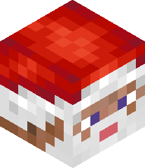 BigHandsomeMan67's head