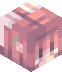 Dis_is_not_KAtIE's head