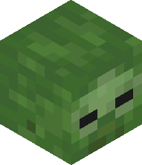 LavaWarden5657's head