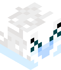 DoubledAlpaca17's head