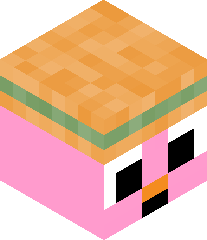 noahisthebest11's head