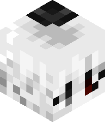 Ruine_mc's head