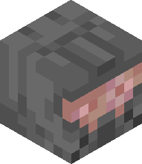 MetroBrick29377's head