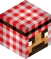 Aldeplaymincraft's head