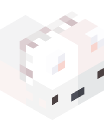 notnotanotaku's head