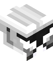 MaximilianSamuth's head