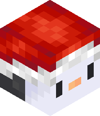 FasterCraftYT's head