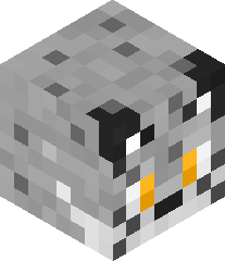 Ashley_the_cute's head