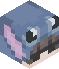 kingbucketIII's head