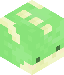 SecretNinja903's head