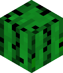 SloppyToppyDemon's head