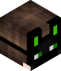 That_one_bro1236's head