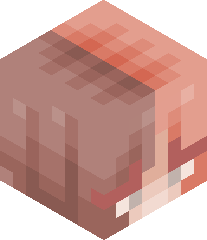 Sakura_Gaming's head