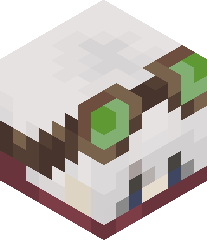 LogicalSkate267's head