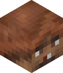 Battleking2PL's head