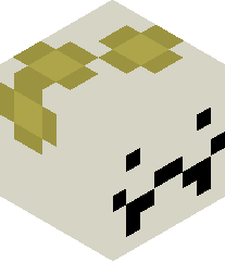 JuiceHater271k's head