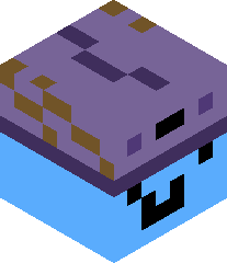 The_Tiger_Craft's head