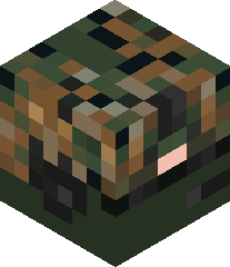 MichaelMission's head