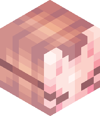 ooneironauticc's head