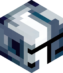 epicprogamer556's head