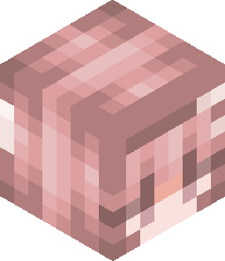 TheTruthExists's head