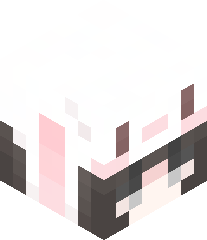 Namida_Kizuna's head