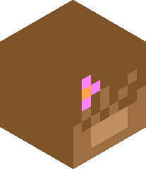 motorbikegirl's head