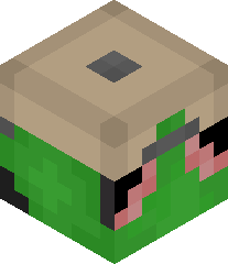 They_Hckd_Me_lol's head