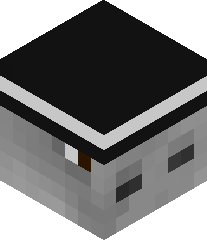 Awes0mApplejuice's head