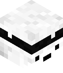 LucasMoraisReis's head