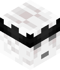 DisgracefulGhast's head