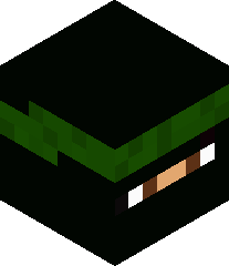 ProGamerPro21's head