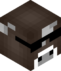 NotSenior1316's head