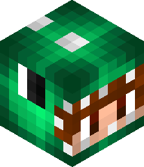 MasterTurtle1's head