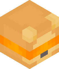 ZachAttack20101's head