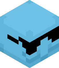 Squirtleboy300's head