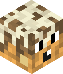 shawarma_poutine's head