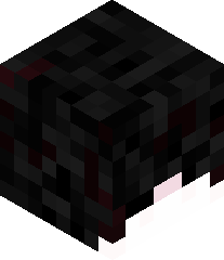 MrTurtlefighter2's head