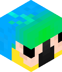 NoSwordIncluded's head