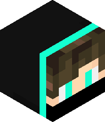 Flashplayer1985's head