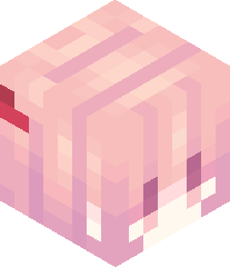 HxxtaiSamurai's head