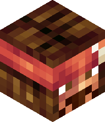 dawnknight567's head