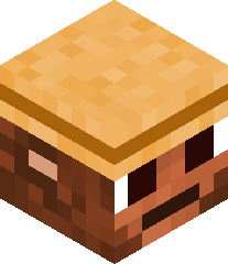 IllIllllIllR6's head