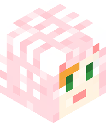 SuperNora1234's head