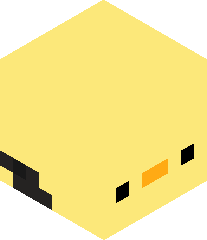 minecrafteromg2's head