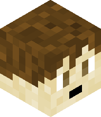 SuperBatBoy33's head