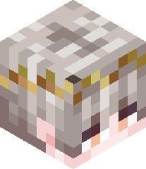 BlizzardSnowy's head